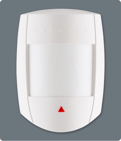 Paradox DG65