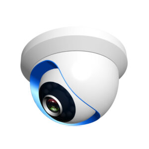 Neutron NTA-IPC02 Dome IP Alarm Kamerası