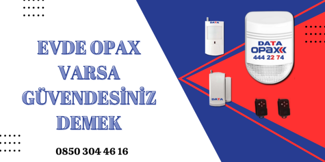OPAX2